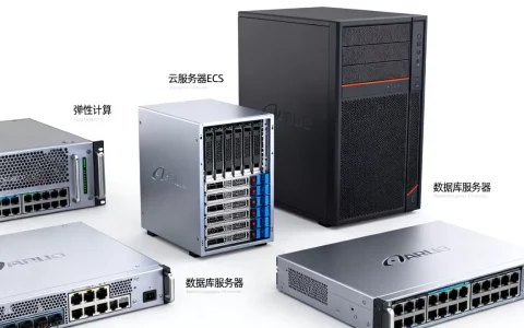 我的阿里有哪些服务器类型，怎么根据需求选择？