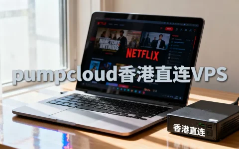 pumpcloud香港直连VPS好吗，能看Netflix吗？