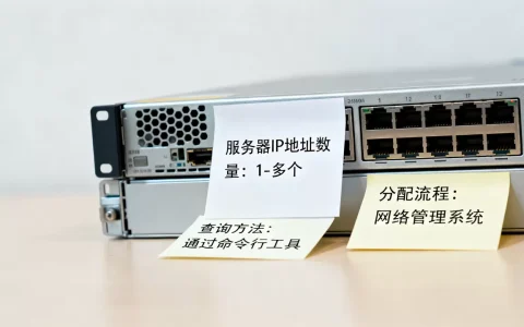 一个服务器可以有多少个IP地址，怎么查询和分配？