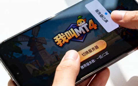我叫MT4服务器人满进不去怎么办，哪里还能玩？