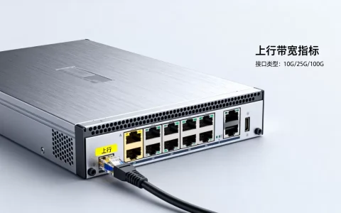 大带宽服务器选型时上行能力怎么看，怎么选比较好？