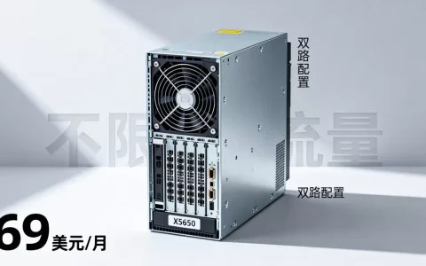 双路X5650高配服务器仅69美元吗，不限流量服务器租用哪家好