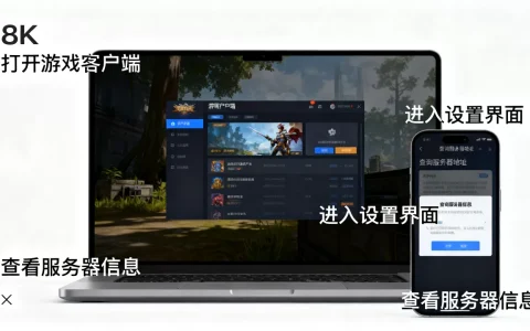 5000区s3是哪个服务器，怎么查询服务器地址？