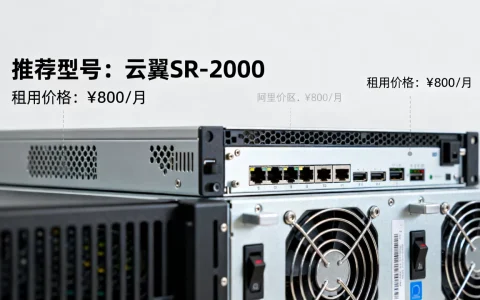 阿里地区服务器有哪些推荐？，租用价格是多少？