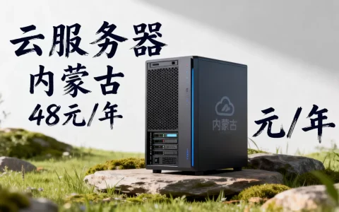 48元一年云服务器内蒙靠谱吗，内蒙古云服务器一年多少钱？