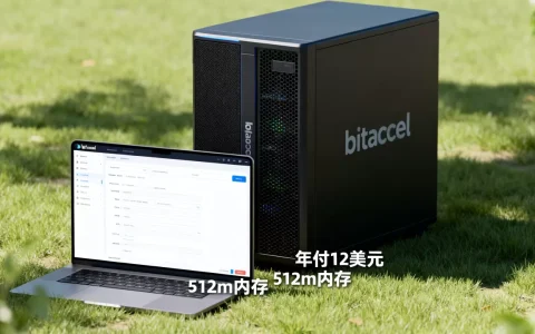 bitaccel年付12美元512m内存如何，值得买吗？
