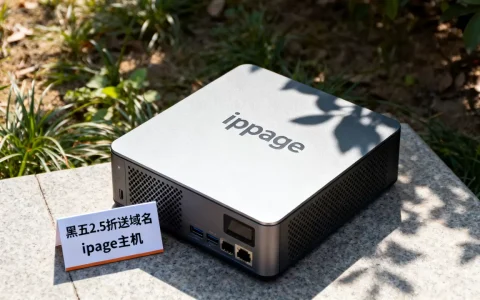黑五ipage2.5折送域名真的吗，ipage主机怎么样