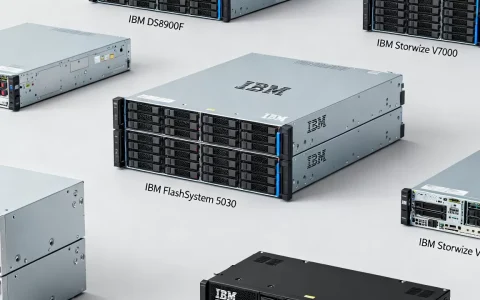 IBM存储服务器有哪些型号，哪个系列性价比高？