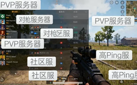 rust对枪服务器都有哪些？,哪个服务器人气高
