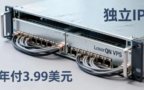 洛杉矶QN机房VPS年付3.99美元值得买吗，独立IP有何用？