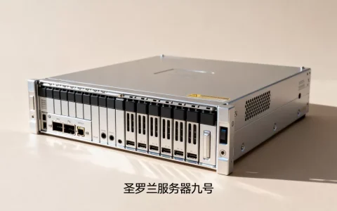 圣罗兰服务器九号多少钱，官方报价贵不贵？