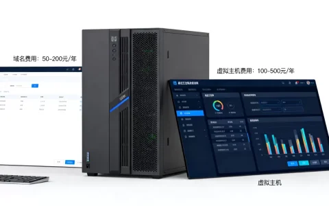 服务器域名要多少钱,虚拟主机租用一年费用多少