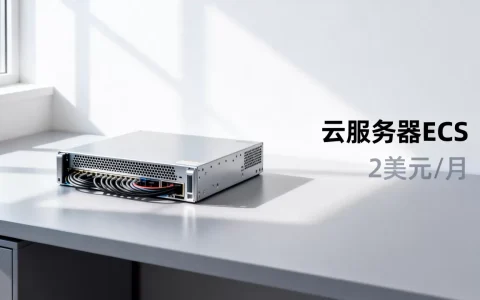 两美元能买哪些服务器，哪家便宜又好用？