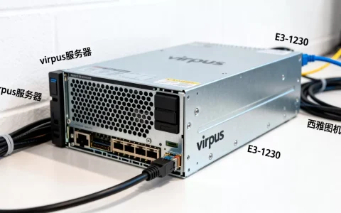 便宜服务器virpus值得买吗，E3-1230西雅图机房速度如何