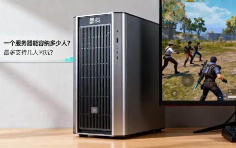 墨斗一个服务器能容纳多少人，最多支持几人同玩？