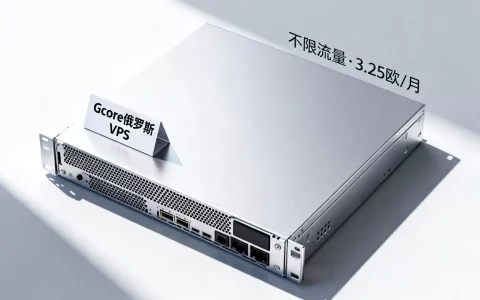 Gcore俄罗斯VPS不限流量3.25欧值得买吗，性价比如何