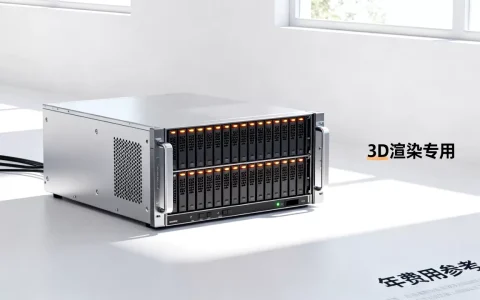 3D专用服务器租用价格贵吗，一年费用要多少