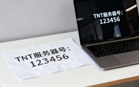 更多TNT服务器号是多少，TNT服务器号在哪里找？