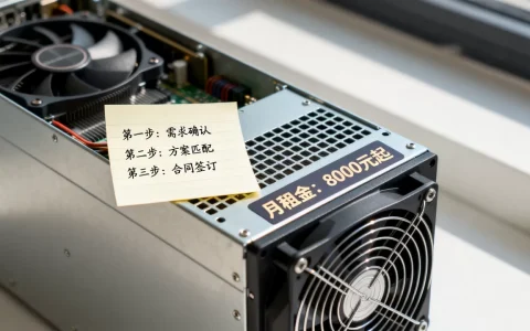 南京租GPU服务器训练分几步，GPU服务器租用多少钱一个月