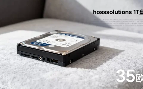 hostsolutions无版权抗投诉1T盘35欧？,值吗？
