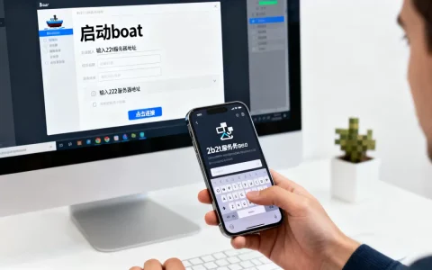 怎么用boat玩2b2t服务器？,boat进服教程详解