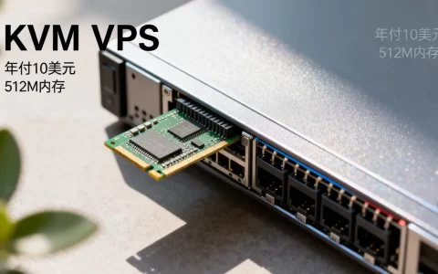 年付10美元KVM VPS值得买吗，512M内存VPS够用吗