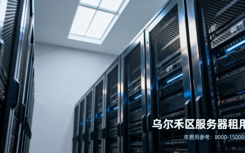 乌尔禾区服务器多少钱，服务器租用一年多少钱？