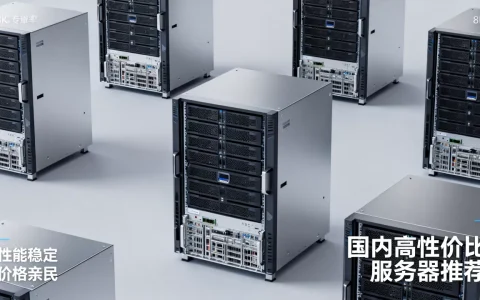 便宜的国内服务器有哪些？, 哪个牌子性价比高