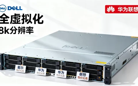 全虚拟化服务器有哪些品牌，哪个性价比高？