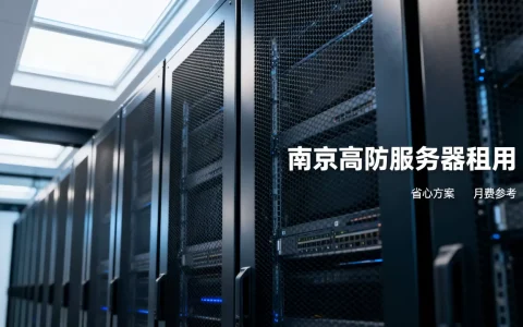 南京高防服务器怎样租用更省心，高防服务器租用多少钱一个月