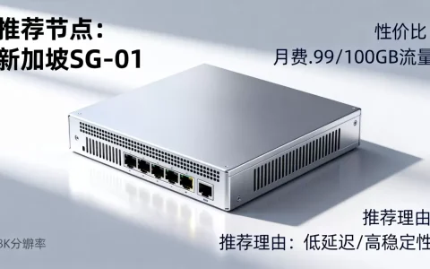 海外服务器节点有哪些推荐，哪个性价比最高？