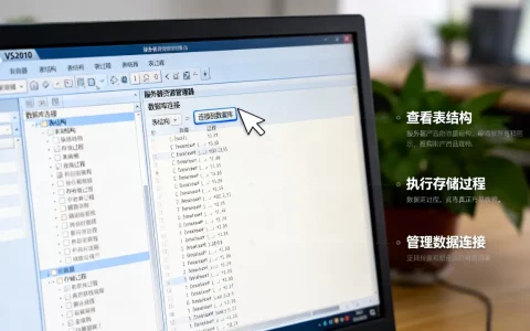 VS2010服务器资源管理器如何应用,有哪些实用技巧？