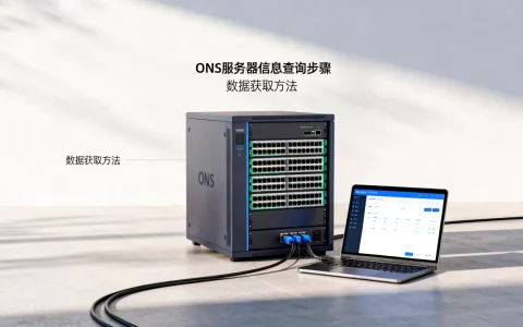 从ONS服务器能获取哪些信息，怎么查询？