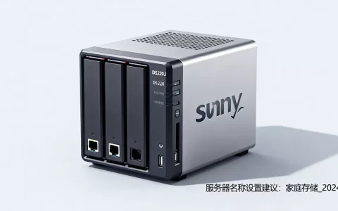 群晖DS220j服务器名称应该怎么填，怎么设置？