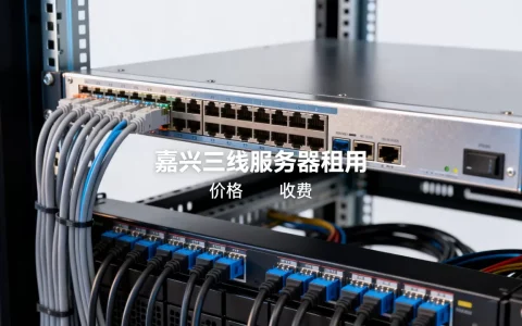 嘉兴三线服务器租用价格是多少，具体怎么收费划算