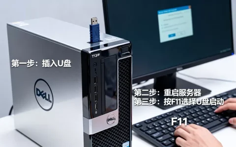 戴尔T130如何设置U盘启动？，戴尔服务器U盘启动按哪个键