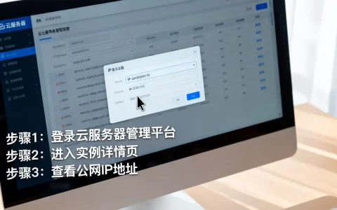 简米云服务器IP不知道怎么办，怎么查看IP地址？