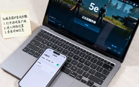 怎么查看自己打的5e服务器ip，查询方法是什么