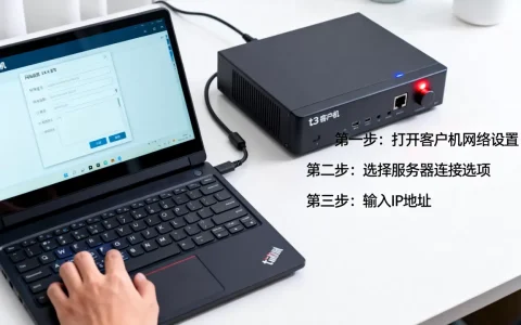 t3客户机服务器如何输入IP地址，具体步骤是什么？