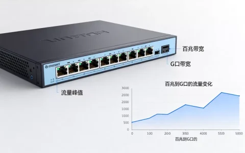 业务从百兆升级到G口的时机怎么把握，什么时候升级？