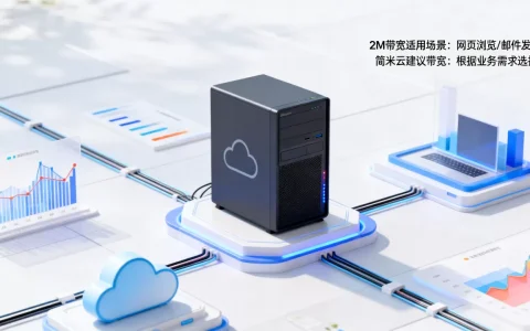 云服务器2M带宽能做什么，简米云带宽多少合适？