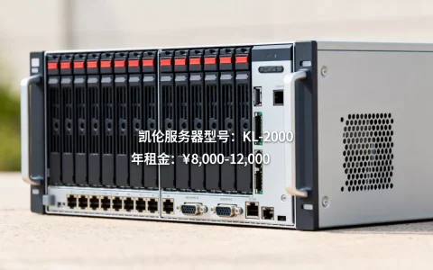 凯伦服务器价格是多少？,租用一年多少钱
