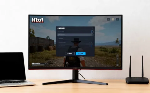 h1z1如何设置进入北美服务器，北美服务器延迟高怎么办？