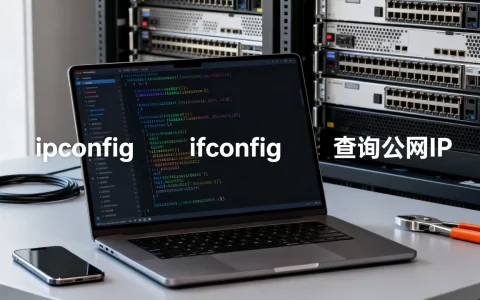 服务器的IPv4地址怎么查，服务器IP地址查询方法有哪些