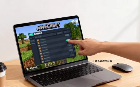 mc多人联机服务器ip是多少，怎么获取？