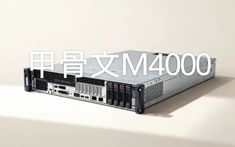 甲骨文M4000服务器性能怎么样，值得购买吗？