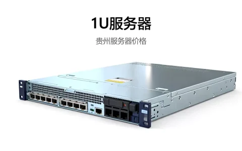 贵州1U服务器价格是多少，哪家价格最便宜？