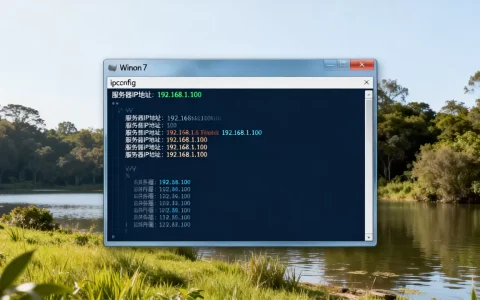 win7系统如何查看服务器IP地址，服务器IP地址怎么查询？
