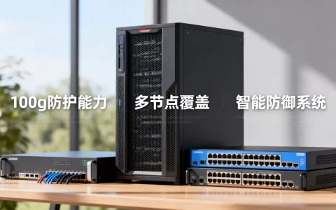 100g高防云服务器怎么选，高防云服务器哪家好？