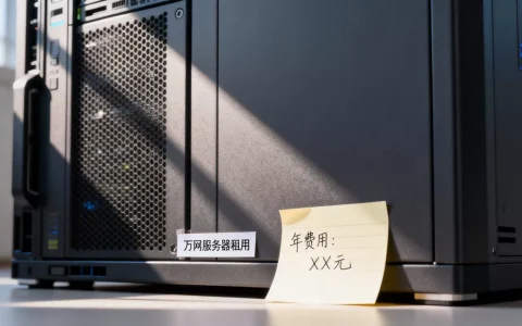 租万网服务器一年需要多少钱，费用是多少呢